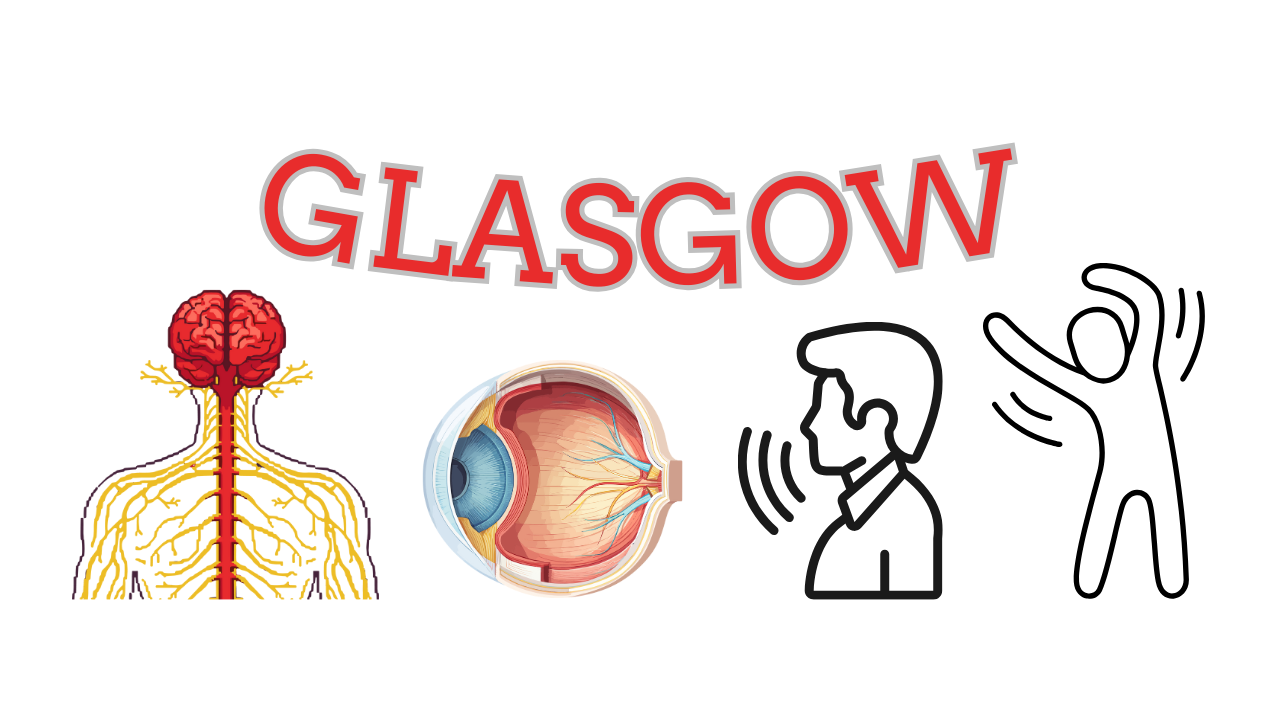 Escala de Glasgow na Urgência e Emergência: Como a Enfermagem Avalia Consciência e Reconhece Deterioração Neurológica